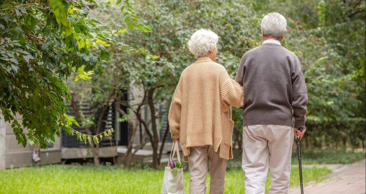 老年人口数据出炉：20个省份中度老龄化，东北地区最“老”