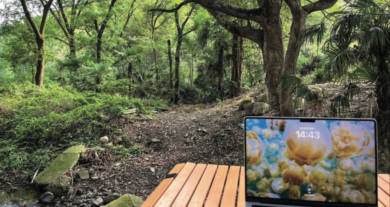 调研显示：超三成居民投资者每月进行1-3次股票交易