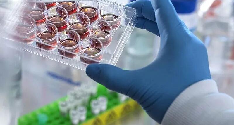 最高涨幅1824%，2025年哪些医药股涨疯了