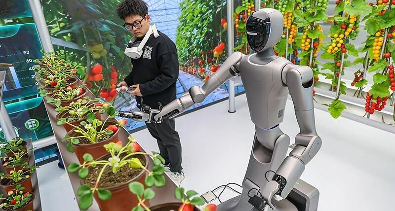 两个月200亿元，谁在推高具身智能融资热度？