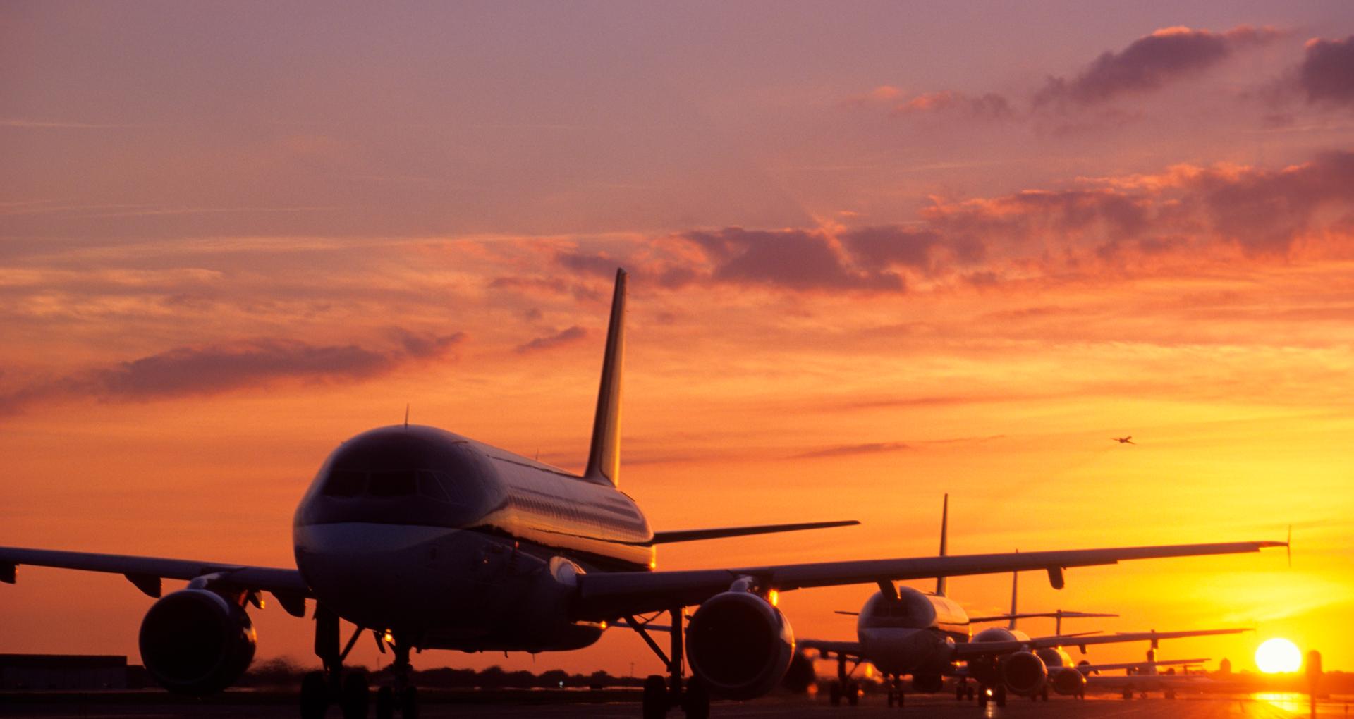 “春日黄金周”去哪玩？热门航线机票量增四成